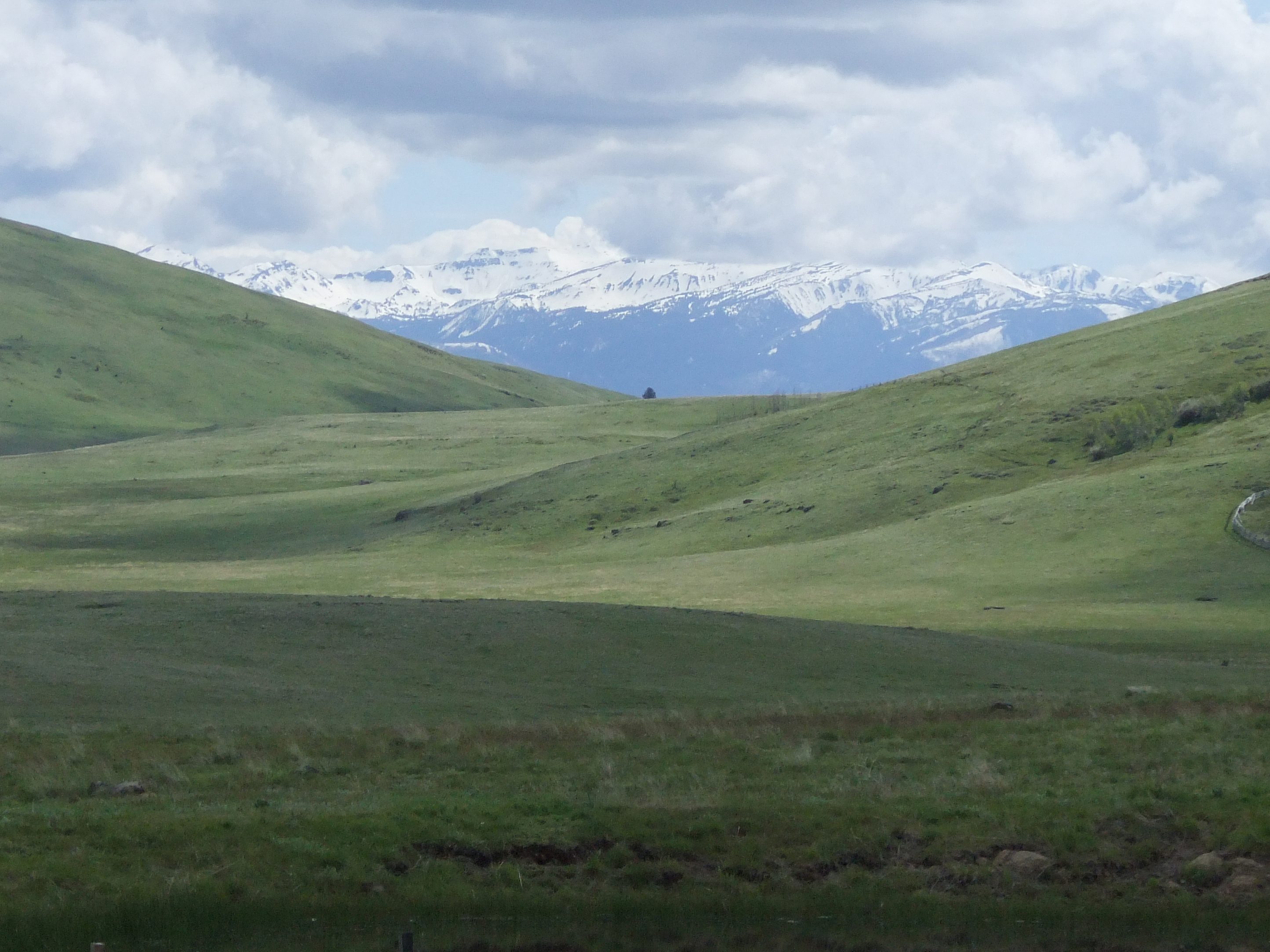 Zumwalt Prairie with Wallowa Mountains in the background. Grassy hills with no trees, snowy mountains, cloudy sky.